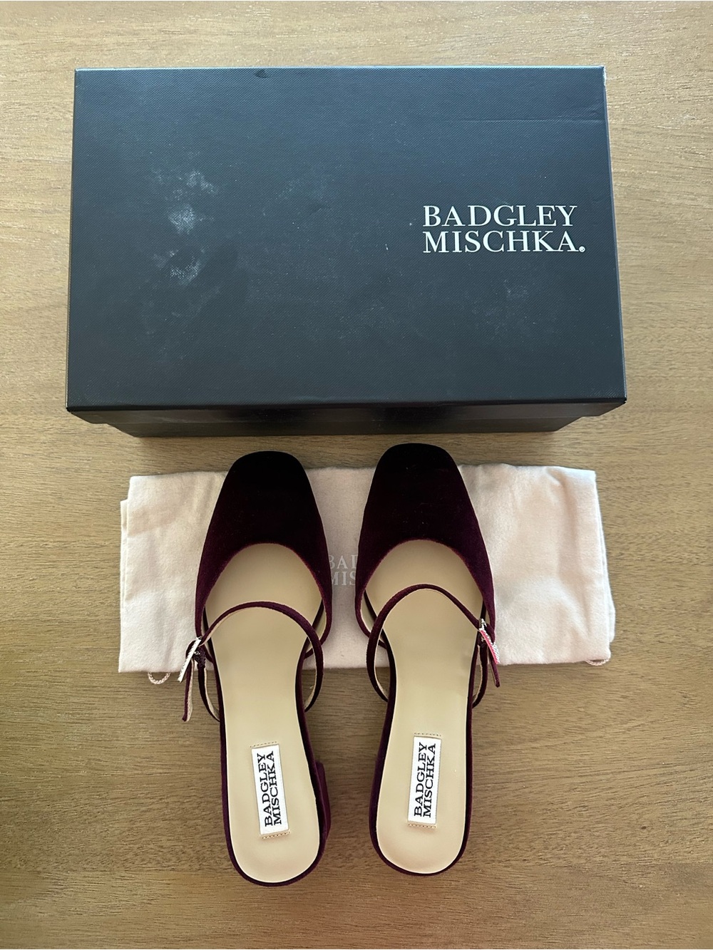 Badgley Mischka Valarie Block Heel Mary Jane Mules (Size 6.5)